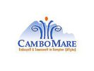 CamboMare