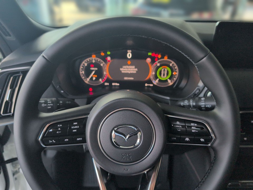 Fahrzeugabbildung Mazda CX-60 3.3 SKY-D 254 AT AWD HOMURA-PLUS*PANO*KAM*